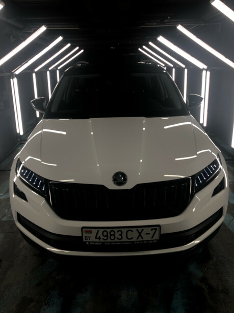 Skoda Kodiaq, 2019 г.