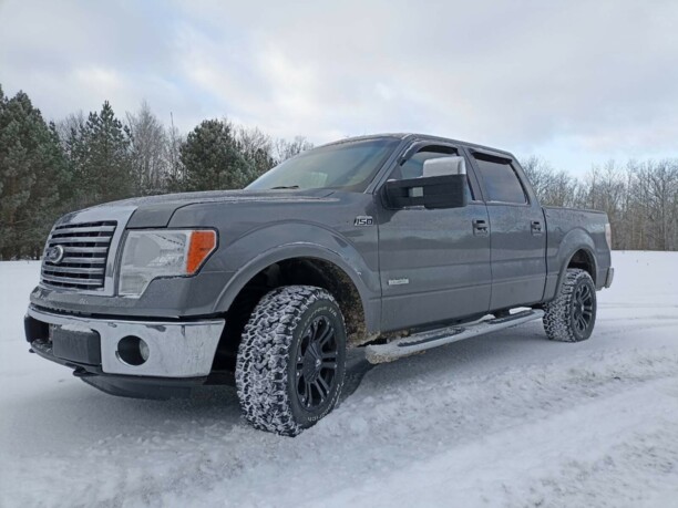 Ford F-150 XII, 2011 г.
