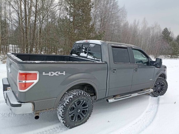 Ford F-150 XII, 2011 г.