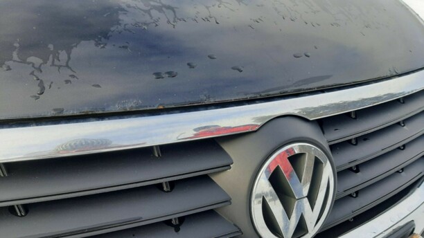 Volkswagen Passat B6, 2005 г.