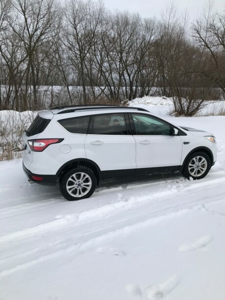 Ford Escape III · Рестайлинг, 2017 г.