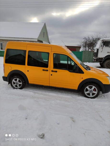 Ford Tourneo Connect I, 2004 г.