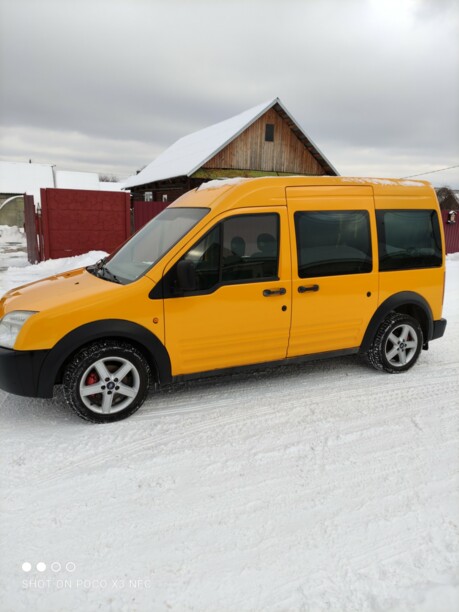 Ford Tourneo Connect I, 2004 г.