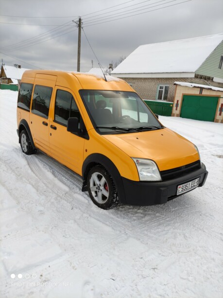Ford Tourneo Connect I, 2004 г.