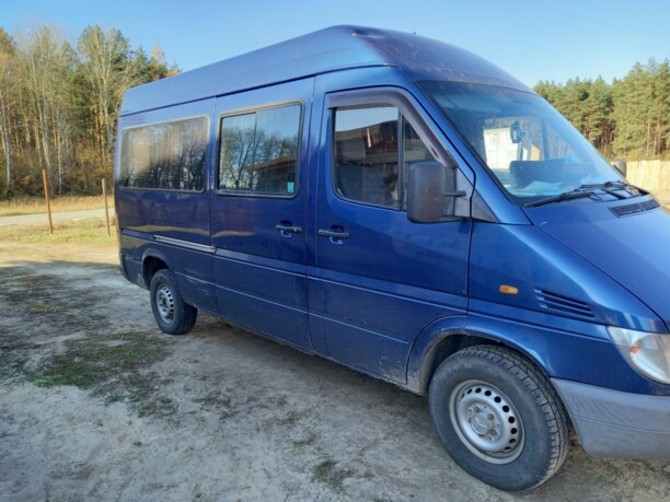 Mercedes-Benz Sprinter 312, 1996 г.