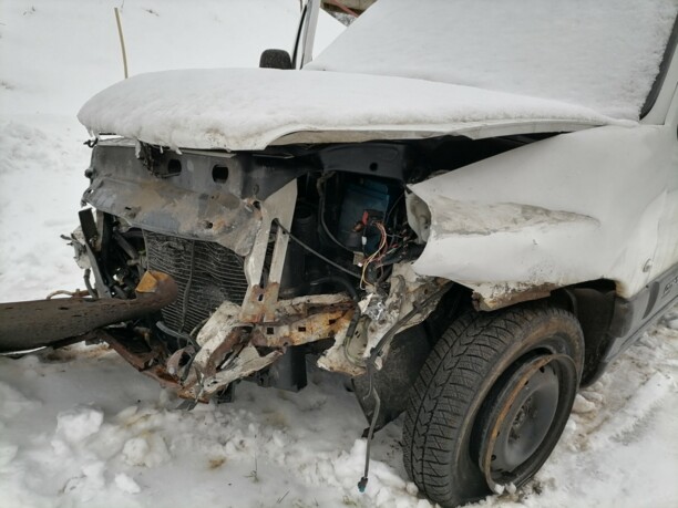 Citroen Berlingo I · Рестайлинг, 2008 г.