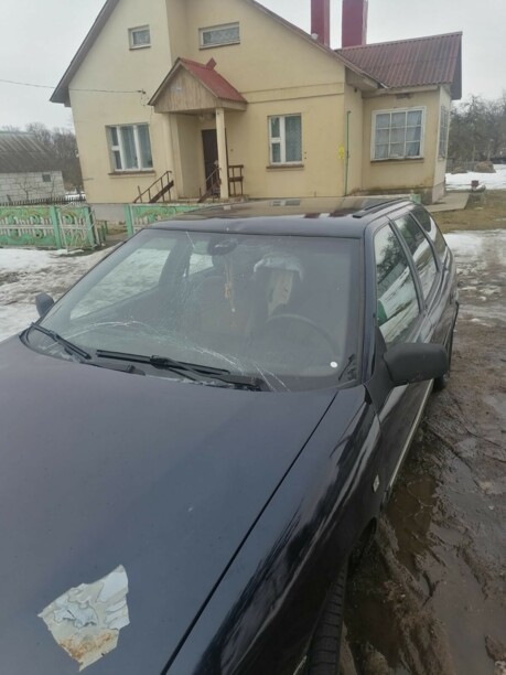 Citroen Xantia X1, 1995 г.