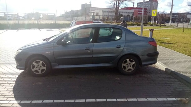 Peugeot 206 I, 2007 г.