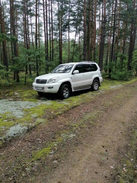 Toyota Land Cruiser Prado J120, 2004 г.