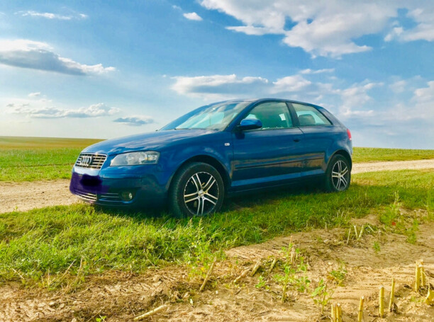 Audi A3 8P, 2004 г.