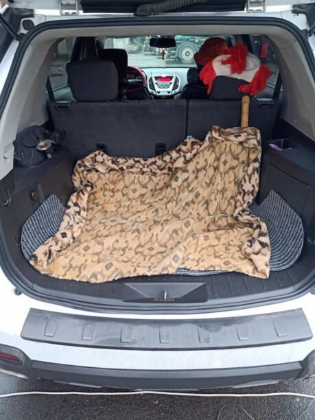 GMC Terrain I, 2010 г.