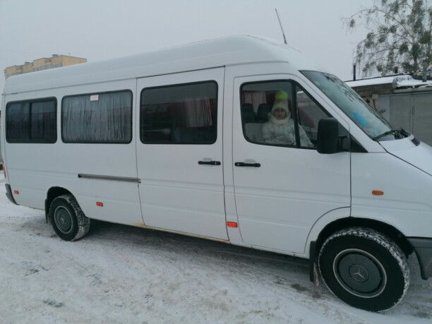 Mercedes-Benz Sprinter 312, 1996 г.