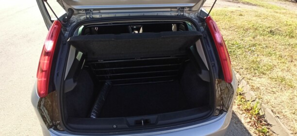 Fiat Grande Punto, 2009 г.