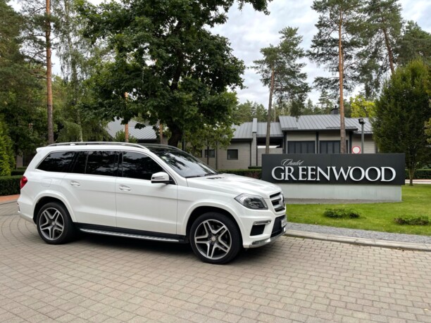 Mercedes-Benz GL-Класс X166, 7 мест, 2013 г.