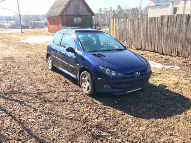 Peugeot 206 I, 2001 г.