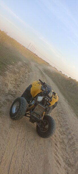 BRP DS, 2006 г.