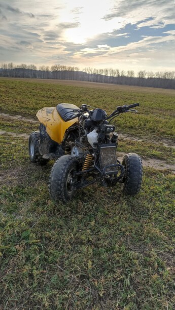 BRP DS, 2006 г.