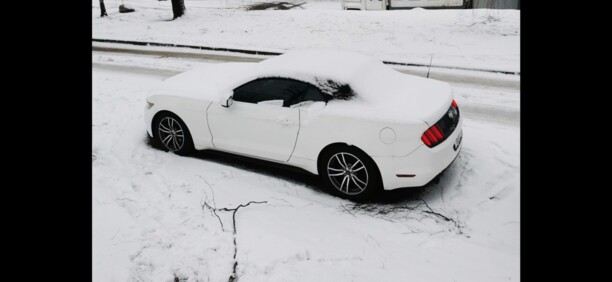 Ford Mustang VI, 2015 г.