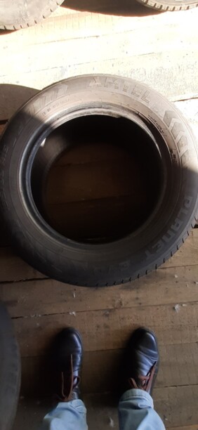 Легковые шины Amtel EVO planet 195/65 R15 4 шт.