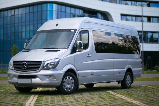 Mercedes-Benz Sprinter 313, 2008 г.