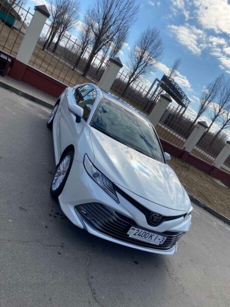 Toyota Camry XV70, 2019 г.