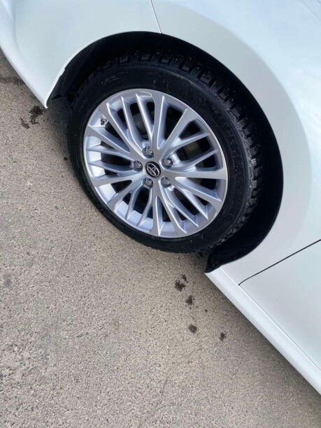 Toyota Camry XV70, 2019 г.