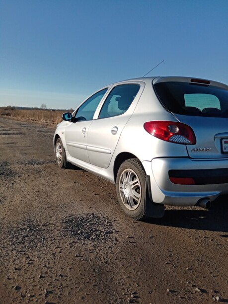 Peugeot 206 Plus, 2010 г.