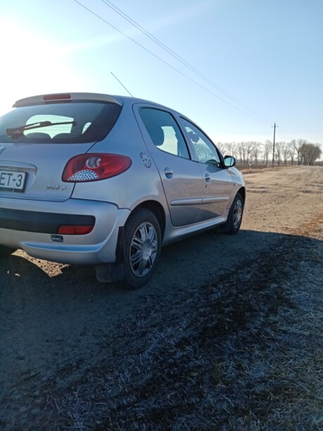 Peugeot 206 Plus, 2010 г.