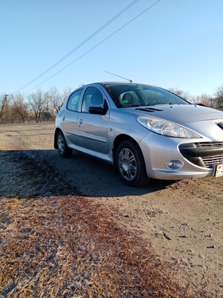 Peugeot 206 Plus, 2010 г.