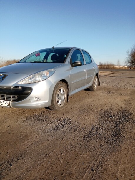 Peugeot 206 Plus, 2010 г.