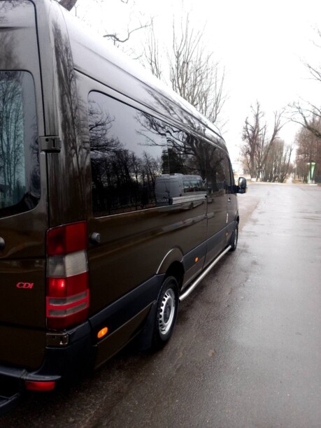 Mercedes-Benz Sprinter, 2010 г.