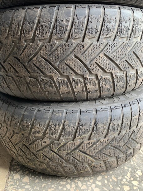 Легковые шины Dunlop Grandtrek WT M3 255/50 R19 2 шт.