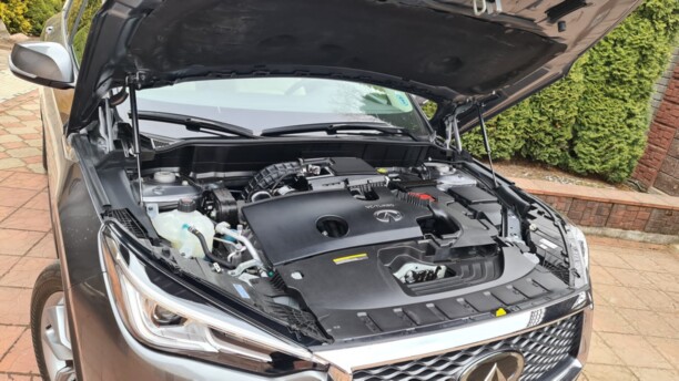 Infiniti QX50 P71A, 2019 г.