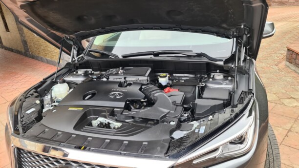 Infiniti QX50 P71A, 2019 г.