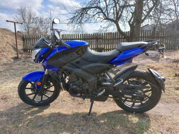 Racer Panther RC250-GY8X , 2020 г.