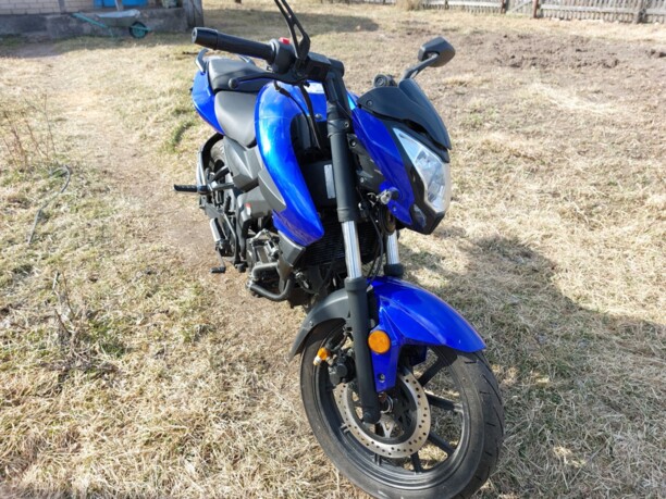 Racer Panther RC250-GY8X , 2020 г.