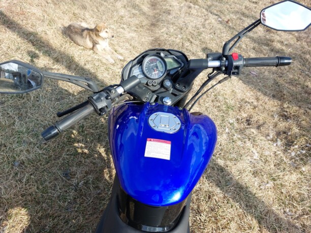 Racer Panther RC250-GY8X , 2020 г.
