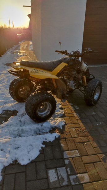 BRP DS, 2006 г.