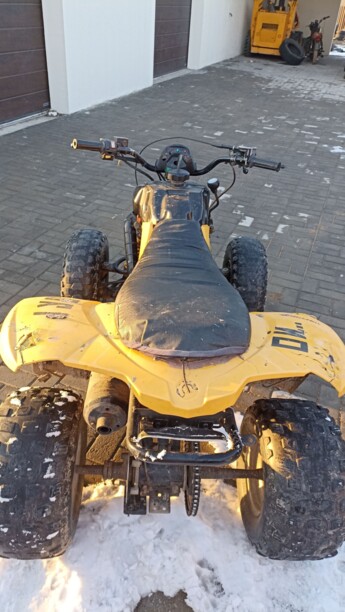 BRP DS, 2006 г.
