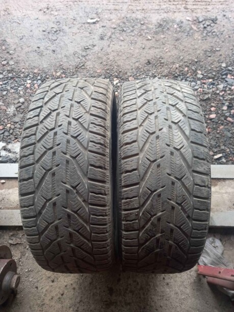 Легковые шины Kormoran Snow 195/50 R15 2 шт.