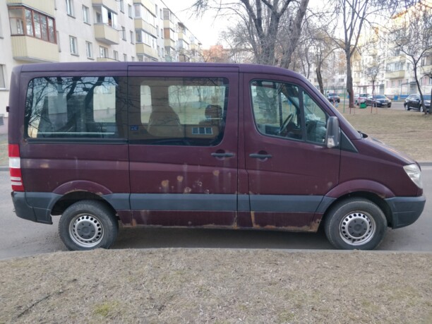 Mercedes-Benz Sprinter 906, 2008 г.