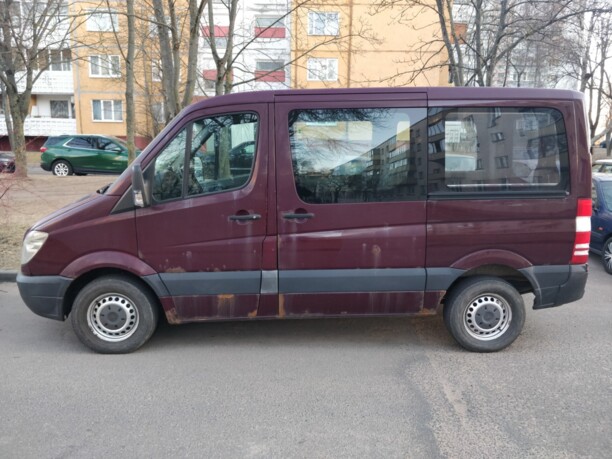 Mercedes-Benz Sprinter 906, 2008 г.