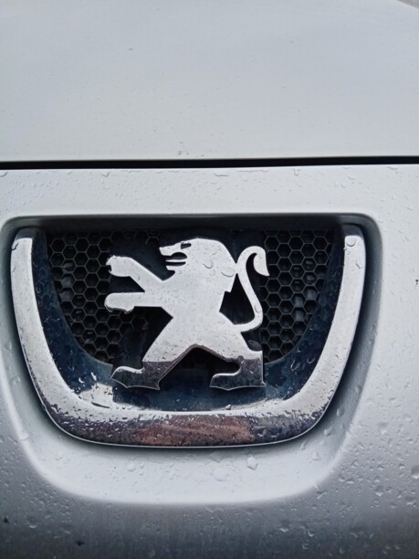 Peugeot 206 Plus, 2010 г.