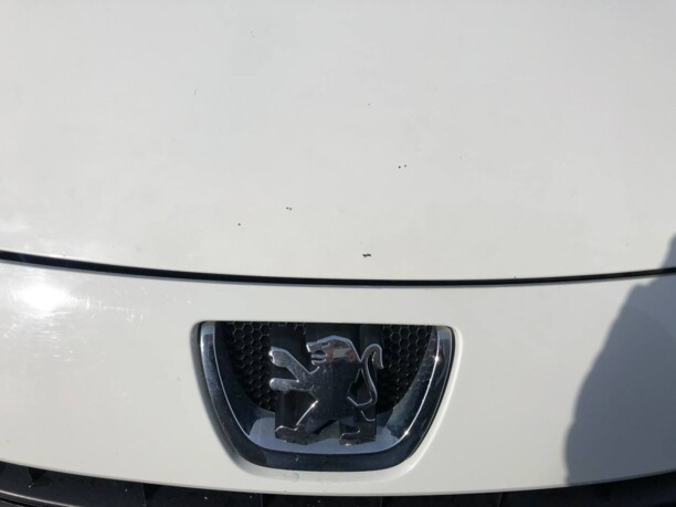 Peugeot Expert II, 2010 г.