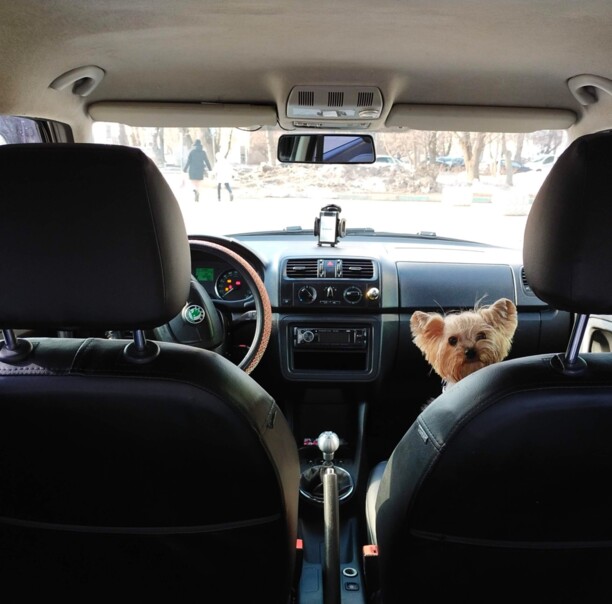 Skoda Fabia 5J · Рестайлинг, 2011 г.