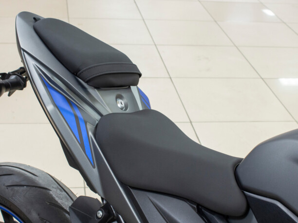 Suzuki GSX S 750, 2019 г.