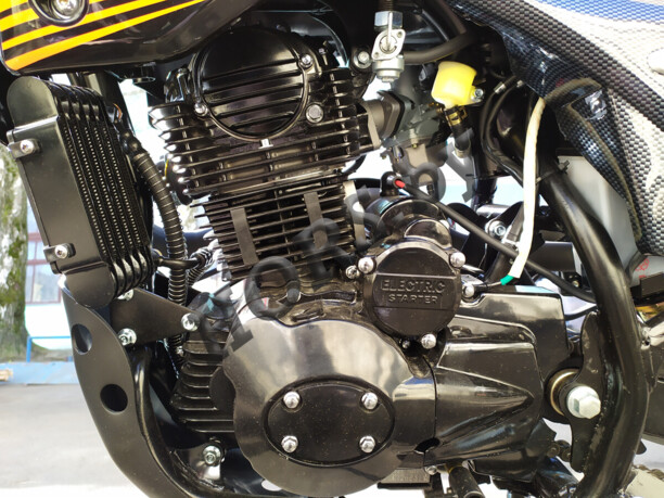 Racer Panther 300, 2022 г.