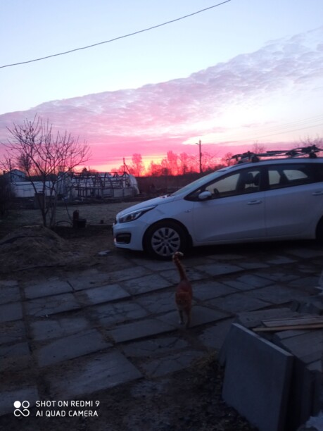 Kia Cee'd II · Рестайлинг, 2015 г.
