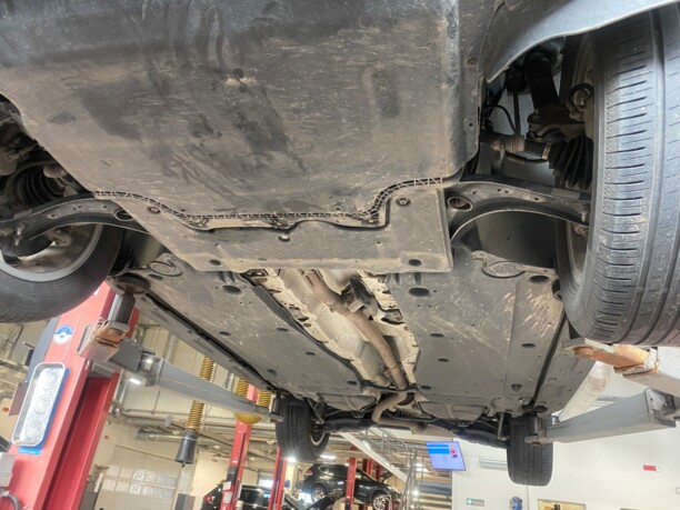 Skoda Kodiaq, 2019 г.