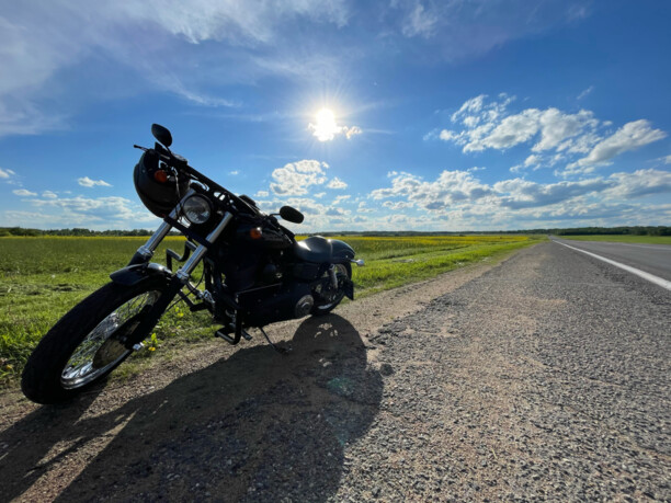 Harley-Davidson Dyna, 2006 г.
